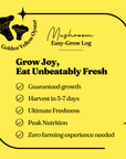 Golden Oyster Easy-Grow Log