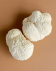 Lion's Mane