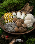 The Gardener's Medley